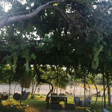 Airport Guest House Dalaman Luaran gambar